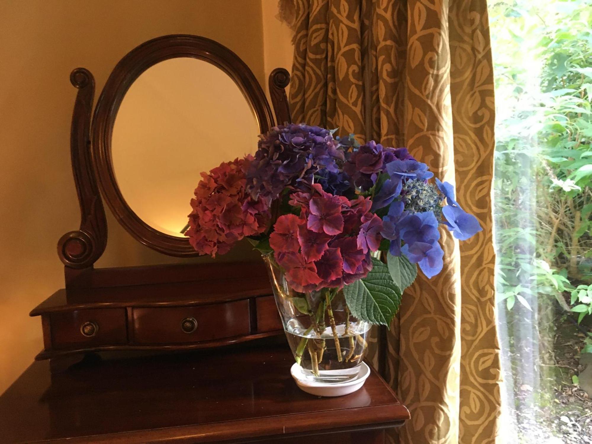 Granville House Apartments And Garden Suites Ballyferriter Dış mekan fotoğraf